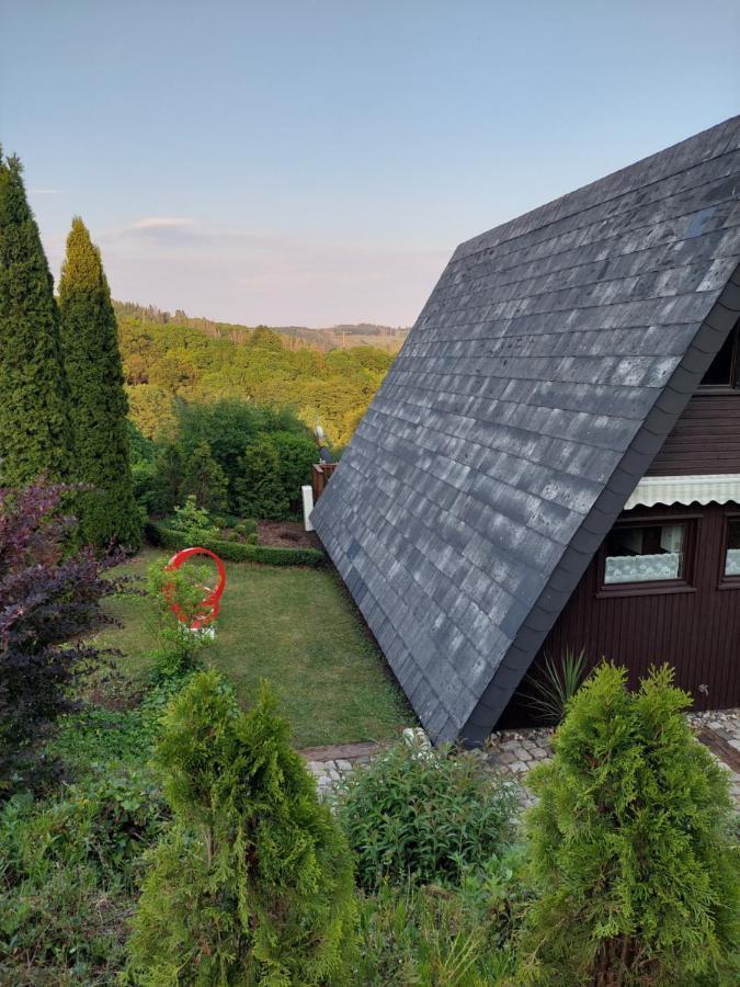 Haus Am See Willingen Exterior foto
